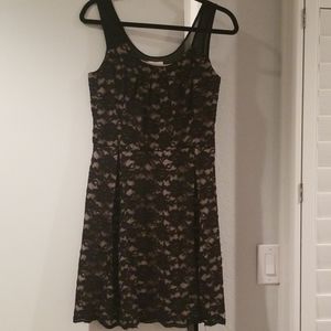 Black Lace ECI Dress